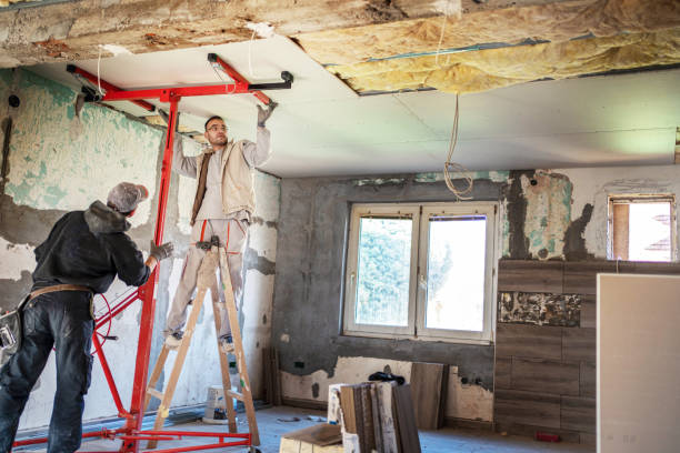 Best Insulation Removal  in Throop, PA