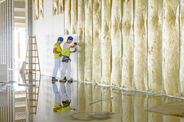 Best Insulation Removal Services  in Throop, PA